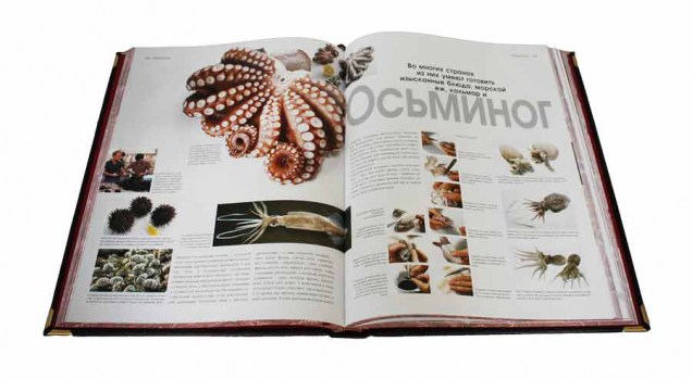 Книга о кухне и продуктах с иллюстрациями