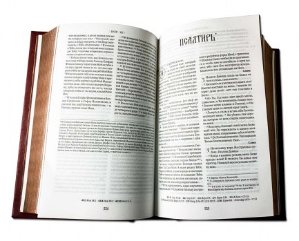 Библия 2010 - эксклюзивное оформление книги