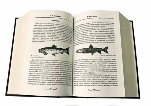 Поясняющие иллюстрации книги "Все о рыбалке"
